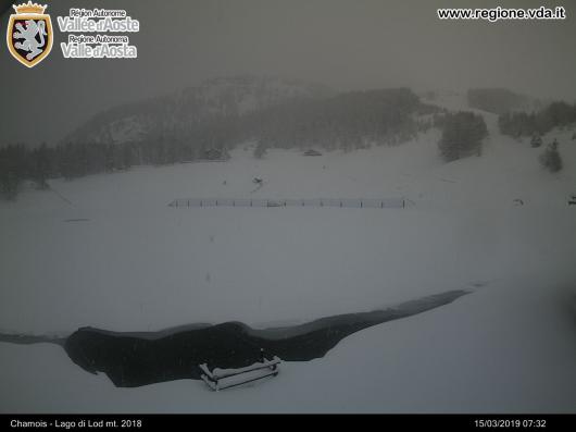 Chamois (AO)