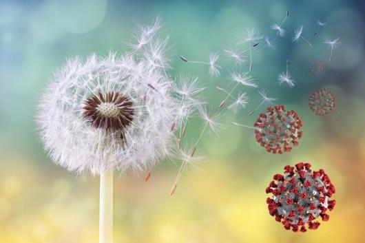 Con la Primavera arrivano anche le allergie