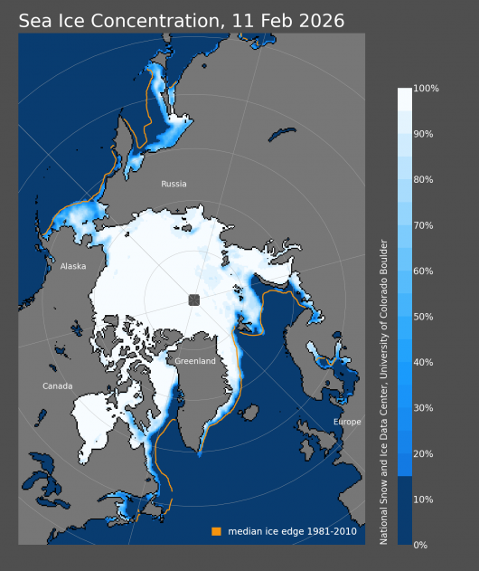 Concentrazione del ghiaccio marino (National Snow and Ice Data Center )