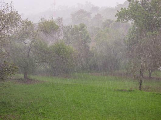 Cronaca meteo Italia