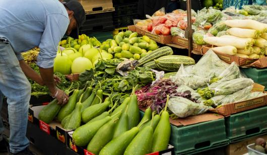 Da oggi l'umanità è in debito con il Pianeta