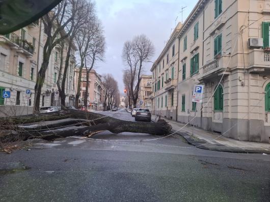 Danni per i forti venti a Messina