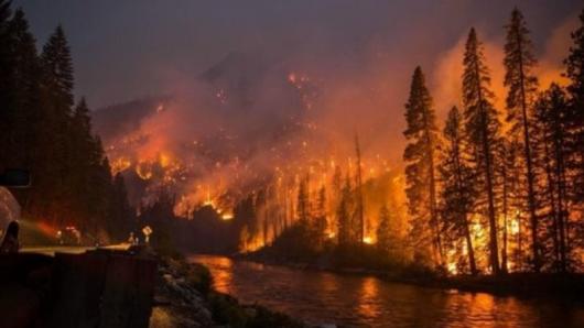 Devastanti incendi in Siberia