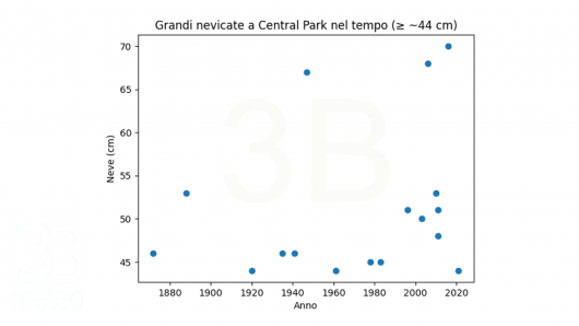 Distribuzione neve a Central Park