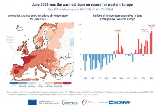 Anomalie ed estremi nella temperatura media dell'aria superficiale tra il 17 giugno e il 2 luglio 2026. Crediti: C3S/ECMWF..