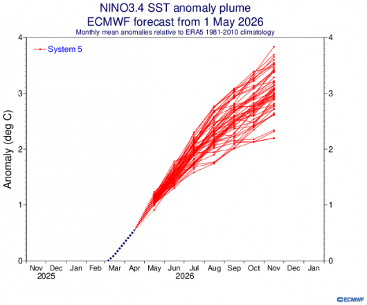Ecmwf: previsione verso El Nino forte