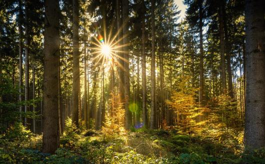 Equinozio d'autunno, quest'anno cade il 23 settembre