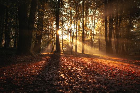 Equinozio d'autunno, quest'anno cade il 23 settembre, ecco perchè