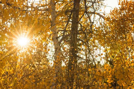 Equinozio d'Autunno: tra mito e scienza