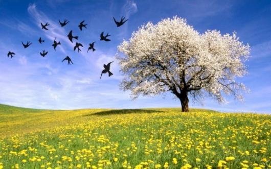 Equinozio di Primavera