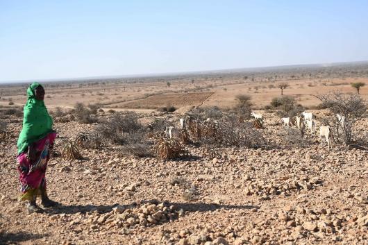 estrema siccità nel Corno d'Africa