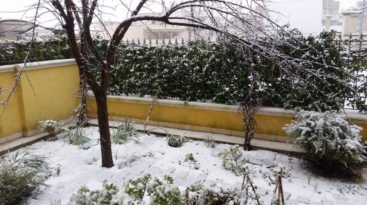 Faggiano (TA). Foto di Nives Cozzucoli
