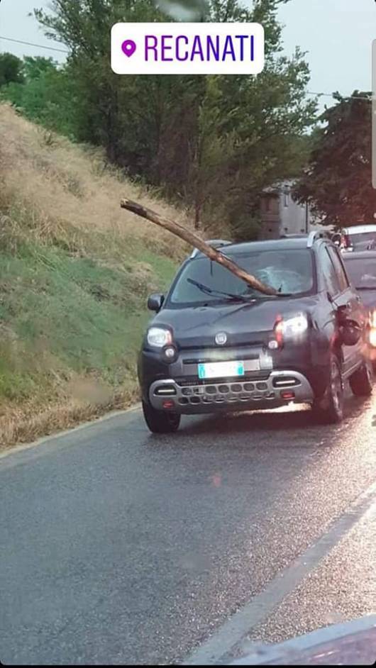 Foto dal Web, auto colpita da un tronco d'albero a Recanati