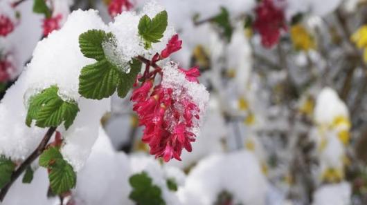 Freddo e neve, apice proprio nel weekend dell'equinozio di primavera
