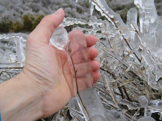 Gelicidio in Ungheria, foto pagina facebook di Maxim Tetovski