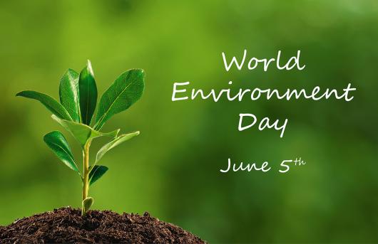 Giornata mondiale dell'ambiente