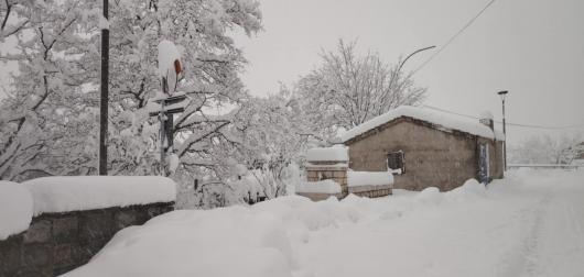 I notevoli accumuli fino a 50cm nel Potentino, qui Carpini (Filiano), foto di Donato Mancini