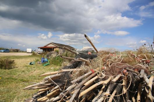 Il progetto Maristanis, per condividere economia e natura