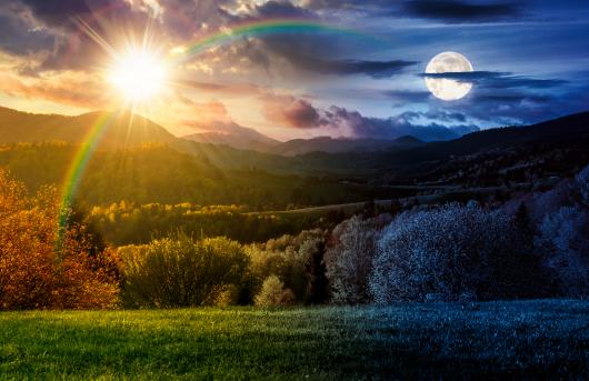 In arrivo l'equinozio di primavera, ecco quando sarà esattamente