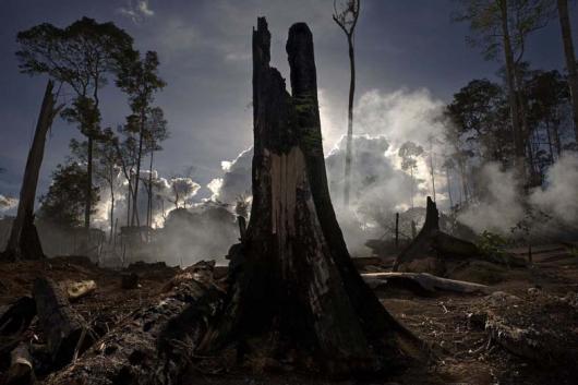 Incendi in Amazzonia: foto di Emiliano Mancuso