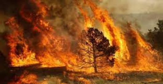Incendio