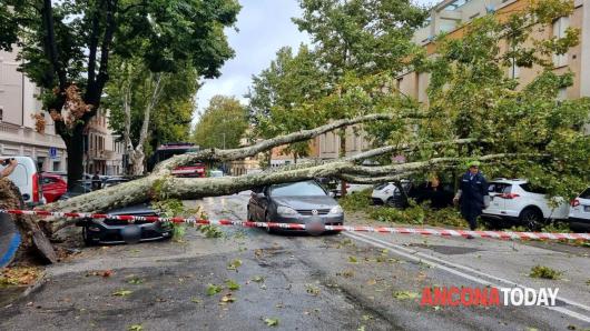 Jesi (AN). Fonte immagine Ancona Today