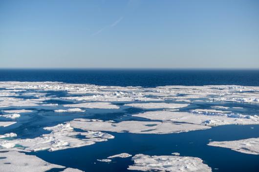 l ghiaccio artico oceanico potrebbe sparire del tutto nel periodo estivo, molto prima di quanto si pensasse