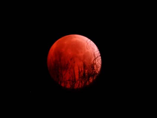 La luna rossa o luna di sangue sarà visibile in Italia tra il 25 e il 26 maggio