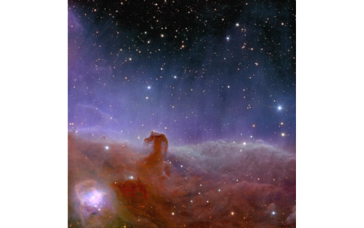 La Nebulosa Testa di Cavallo vista da Euclid - ESA