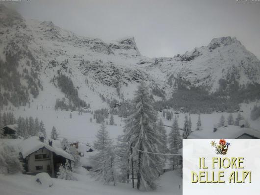 La situazione in Val d'Ossola