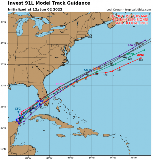 La traiettoria prevista per 91L