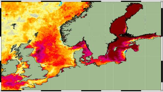 Mar Baltico un brodo, temperature fino a 25°C