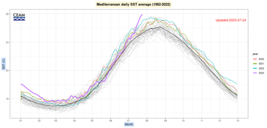 Mediterraneo, temperature medie. Fonte Ceam