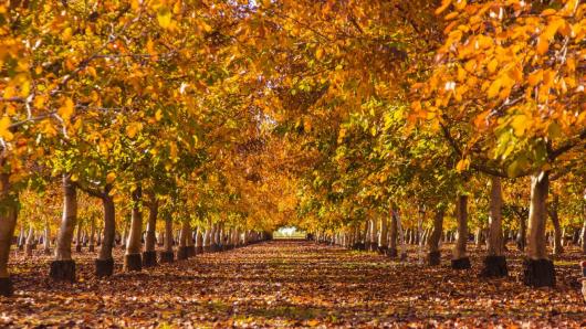Meteo: benvenuto ottobre!