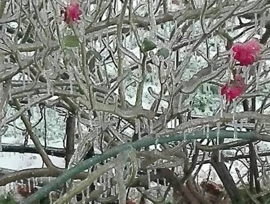 Meteo Italia: pericolo gelicidio su alcune zone nelle prossime ore