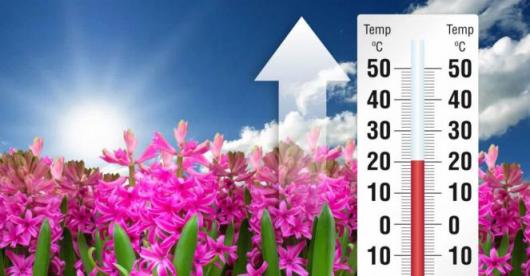 Meteo : torna la Primavera sull'Italia, temperature in aumento