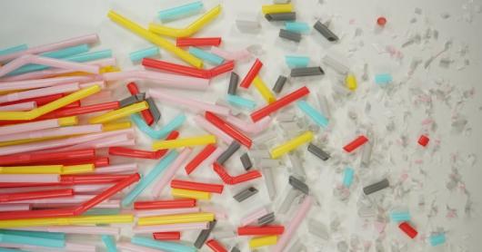 Microplastiche anche nel cuore