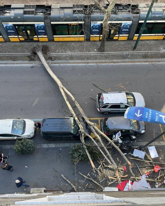 Milano (Immagine di Roberta Rossi)