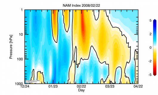 Nam index 2008