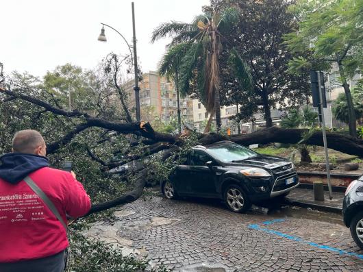 Napoli, Piazza Cavour (Foto di Grazia Forino)