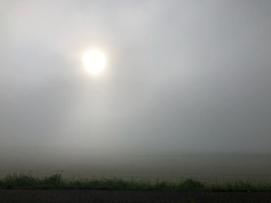 Nebbia in Brianza