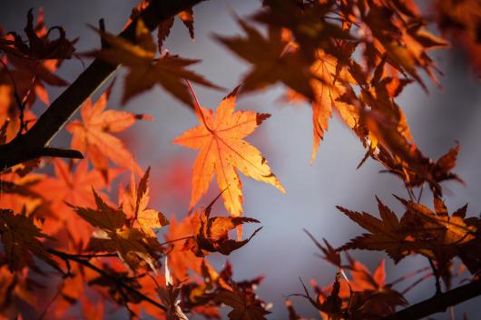 Nel weekend irrompe l'autunno