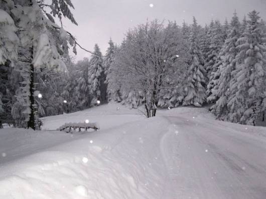 Neve a bassa quota in arrivo nel weekend