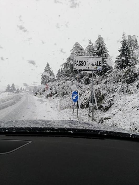Neve al Passo del Tonale. Foto di Michela Dossi