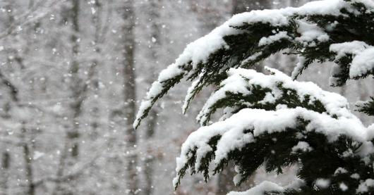Neve Alpi