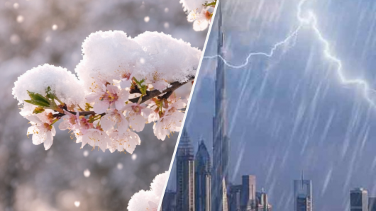 neve di primavera e pioggia nel deserto