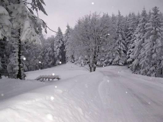 Neve in arrivo, anche abbondante