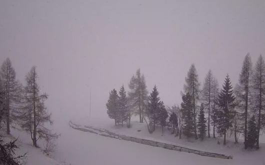 Neve nella zona di Livigno