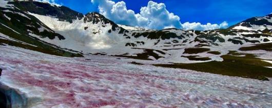 Neve rossa sulle Orobie (Fonte immagine: Ecodibergamo)