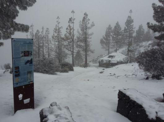 Neve sulle alture di Tenerife (Fonte immagine: canariasenred.com)